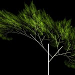 this is not a tree