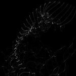 fold-2010.05.25-14.59.57